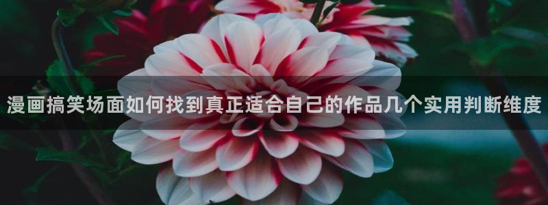 漫蛙漫画漫画专题:漫画搞笑场面如何找到真正适合自己的作品几个实用判断维度