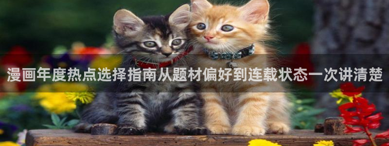 漫蛙漫画热门漫画排行：漫画年度热点选择指南从题材偏好到连载状态一次讲清楚