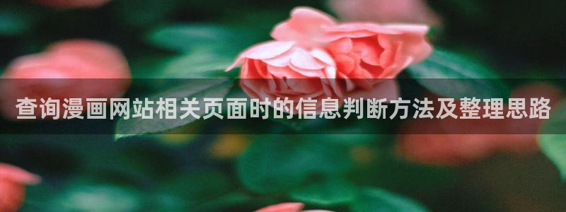 漫蛙漫画阅读榜：查询漫画网站相关页面时的信息判断方法及整理思路