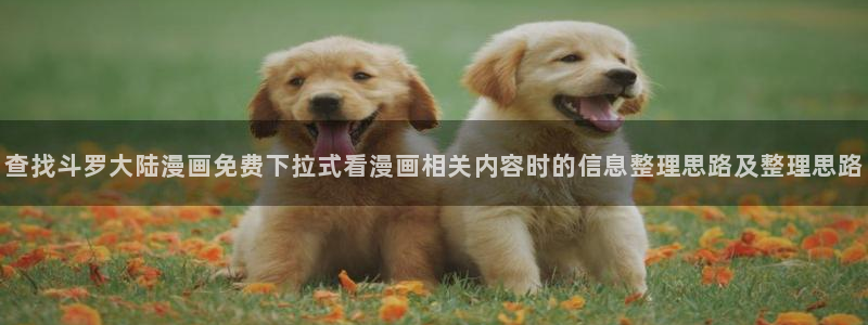 漫蛙漫画热门作品榜:查找斗罗大陆漫画免费下拉式看漫画相关内容时的信息整理思路及整理思路
