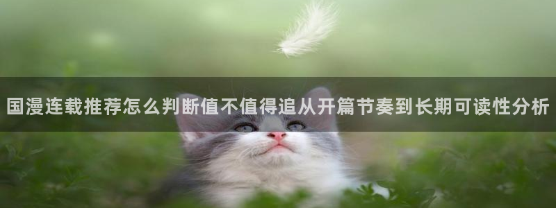 漫蛙漫画漫画作品:国漫连载推荐怎么判断值不值得追从开篇节奏到长期可读性分析