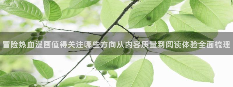漫蛙漫画人气漫画排行：冒险热血漫画值得关注哪些方向从内容质量到阅读体验全面梳理